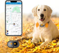 GPS smart dog collar with LED light