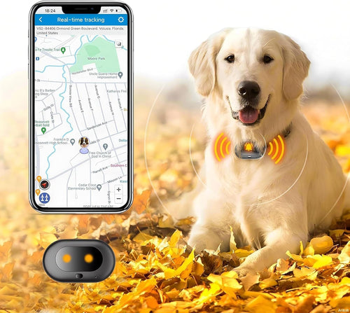 GPS smart dog collar with LED light