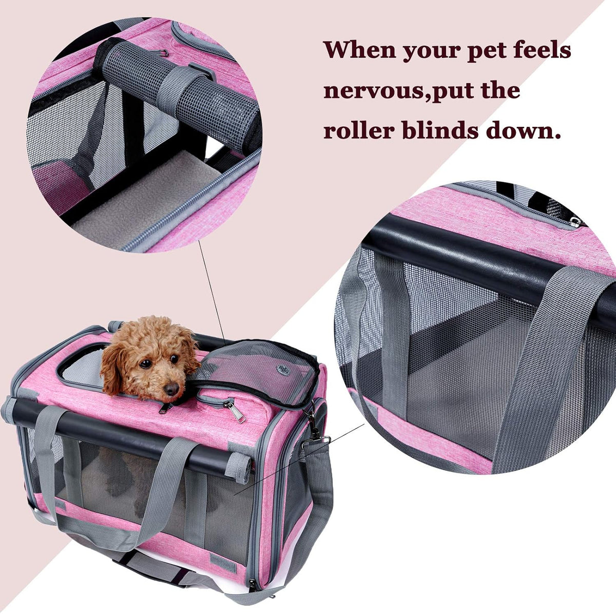 Soft-sided pet carrier
