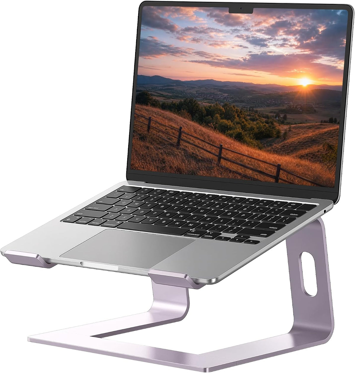 Aluminum ergonomic laptop stand